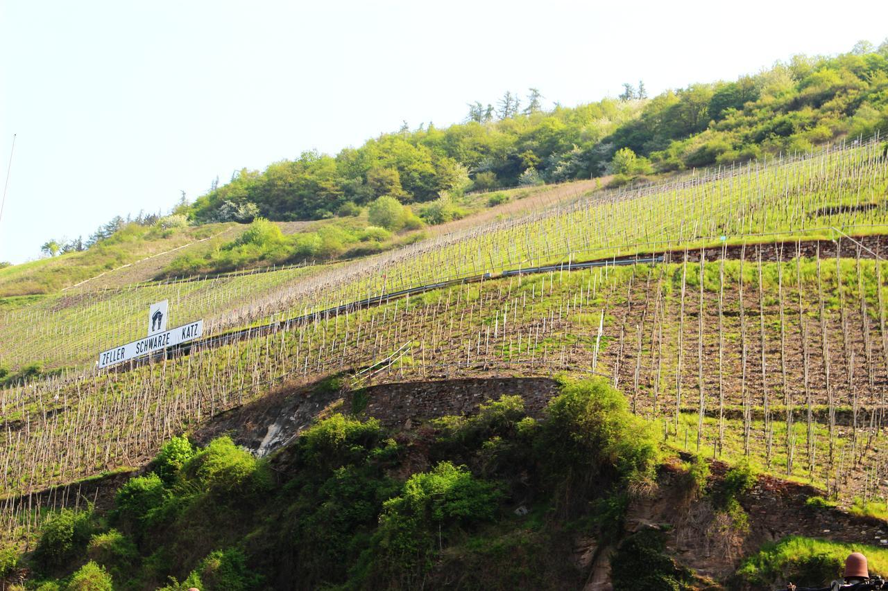 Pension Adelheid Moselhype&Wine Zell an der Mosel Exterior photo
